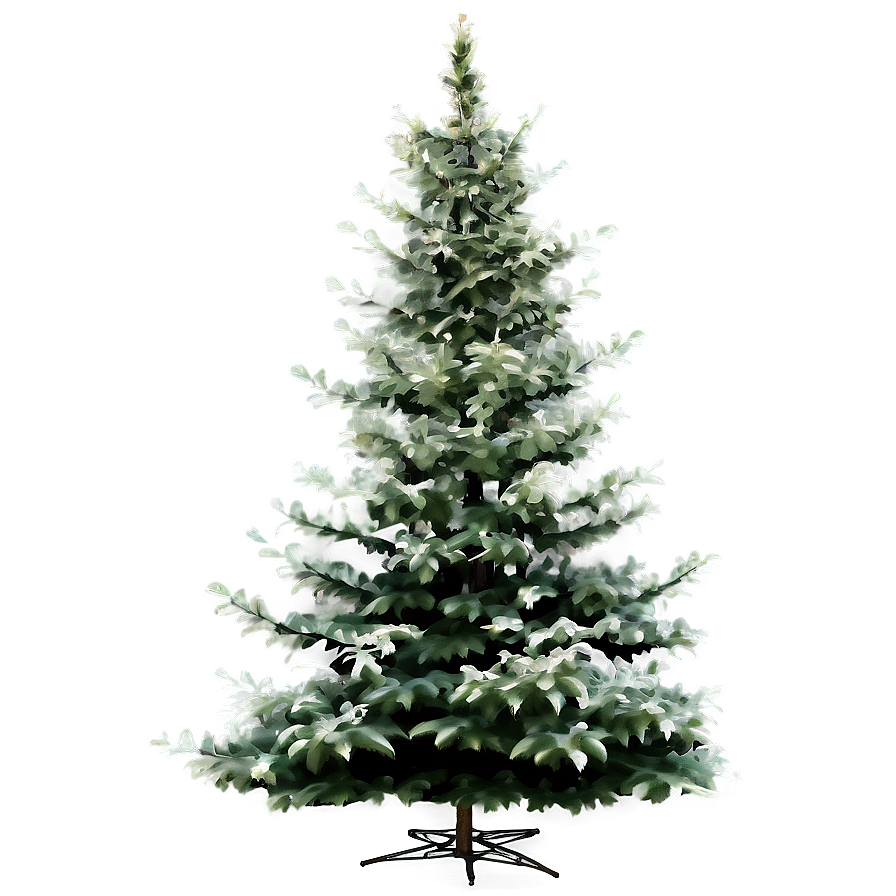 Realistic Evergreen Tree Png Iek PNG Image