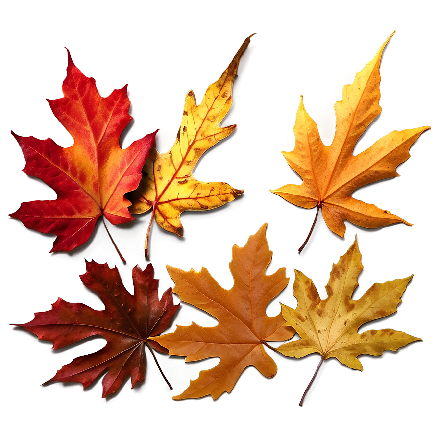 Realistic Fallen Leaves Overlay Png 91 PNG Image