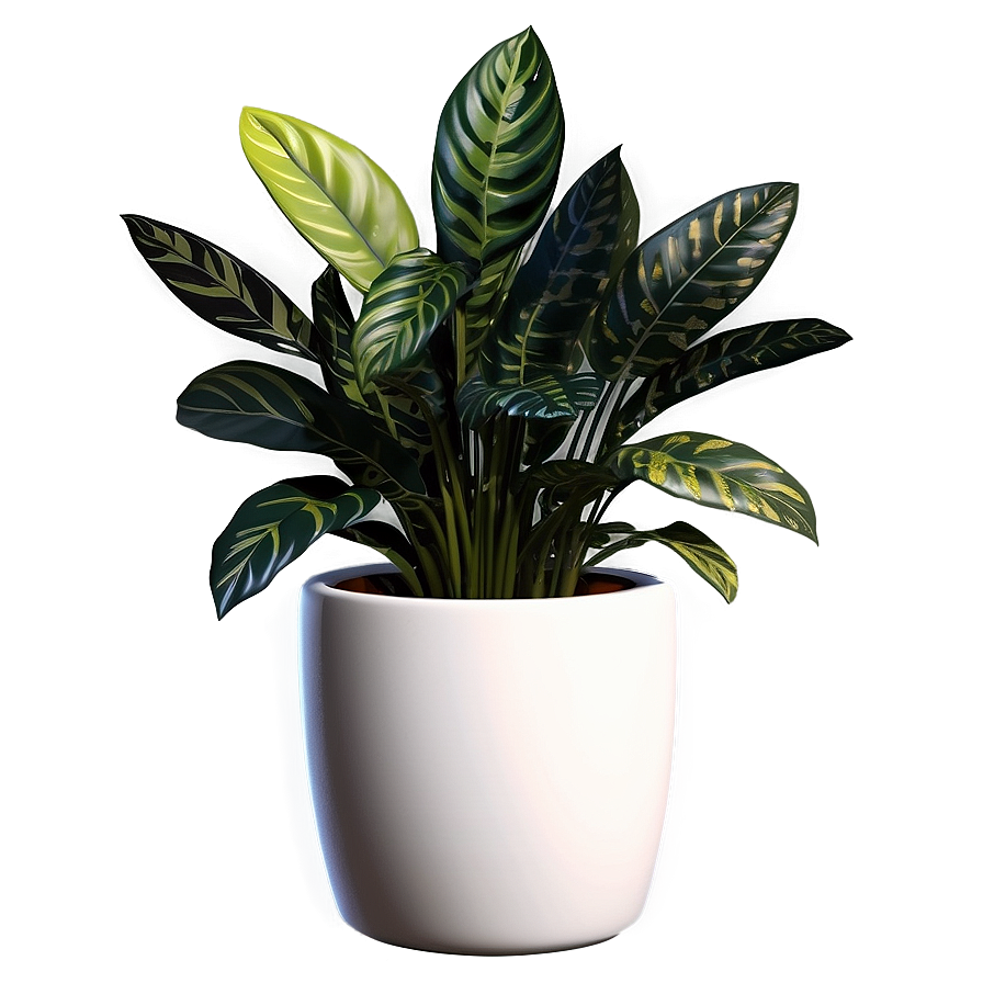 Realistic Floor Plant Png Bfl PNG Image