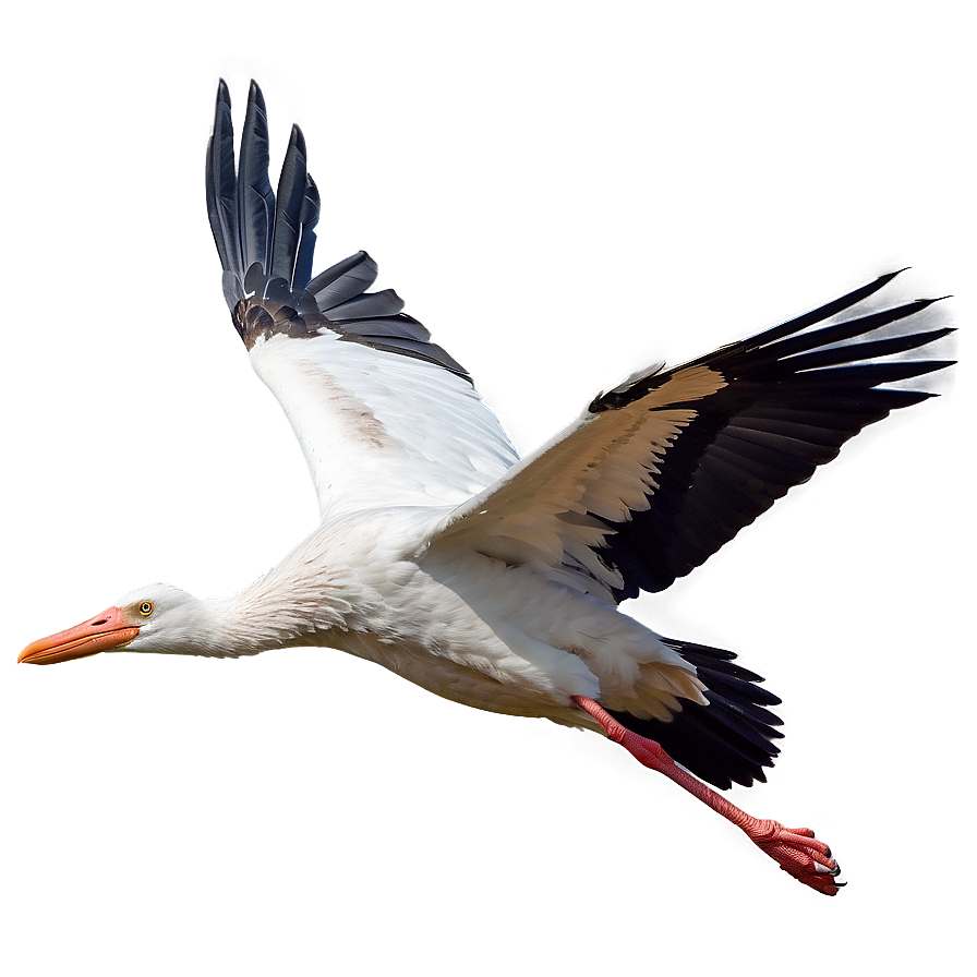 Realistic Flying Stork Png Ast PNG Image