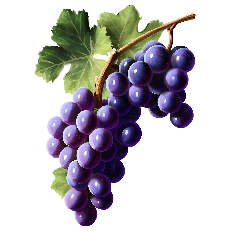 Realistic Grape Art Png 21 PNG Image