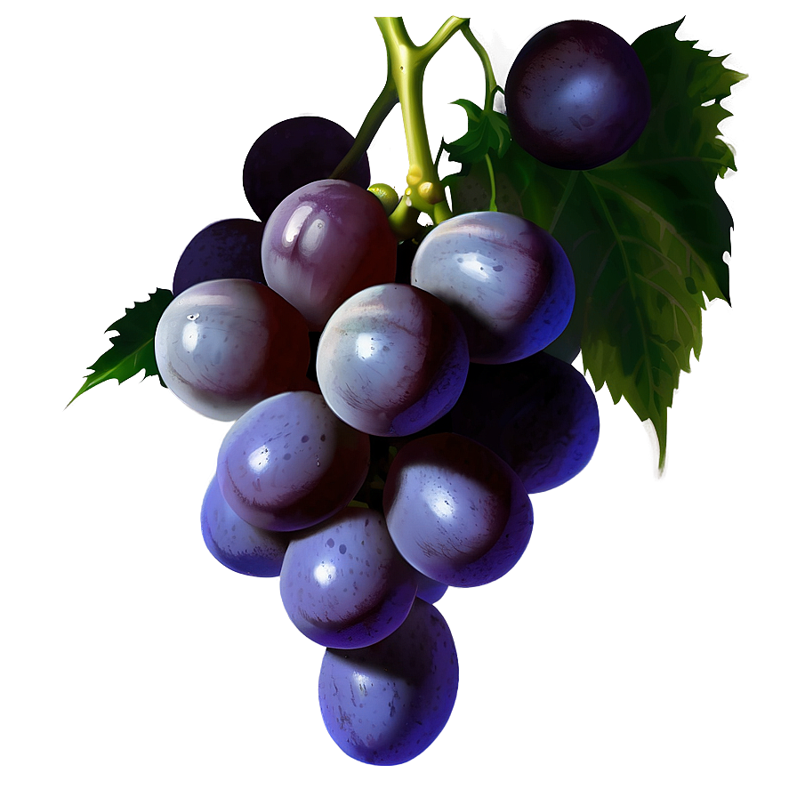 Realistic Grapes Png 80 PNG Image