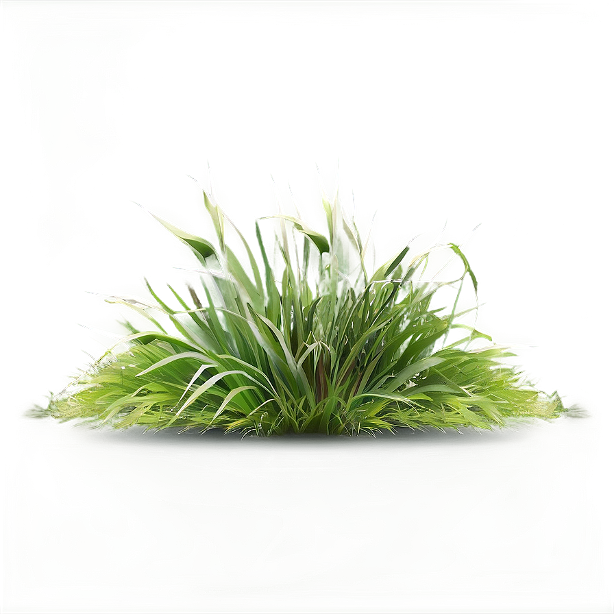 Realistic Grass Border Png 84 PNG Image