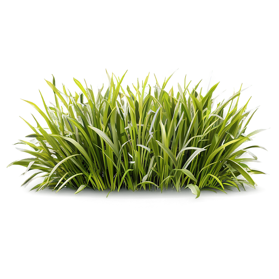 Realistic Grass Clipart Png 24 PNG Image