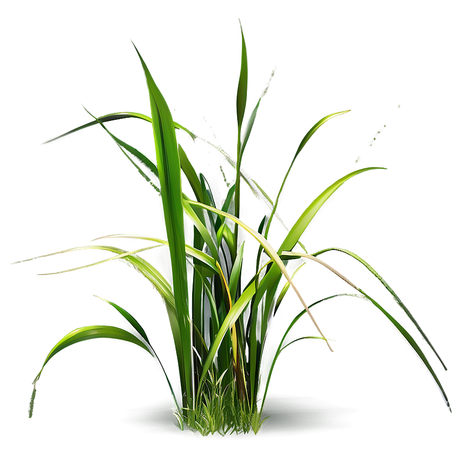 Realistic Grass Clipart Png Oov PNG Image