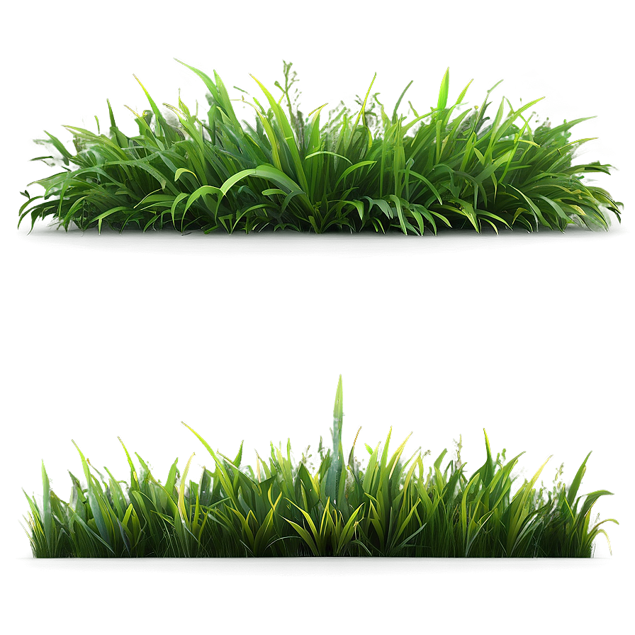 Realistic Green Grass Png Cym77 PNG Image