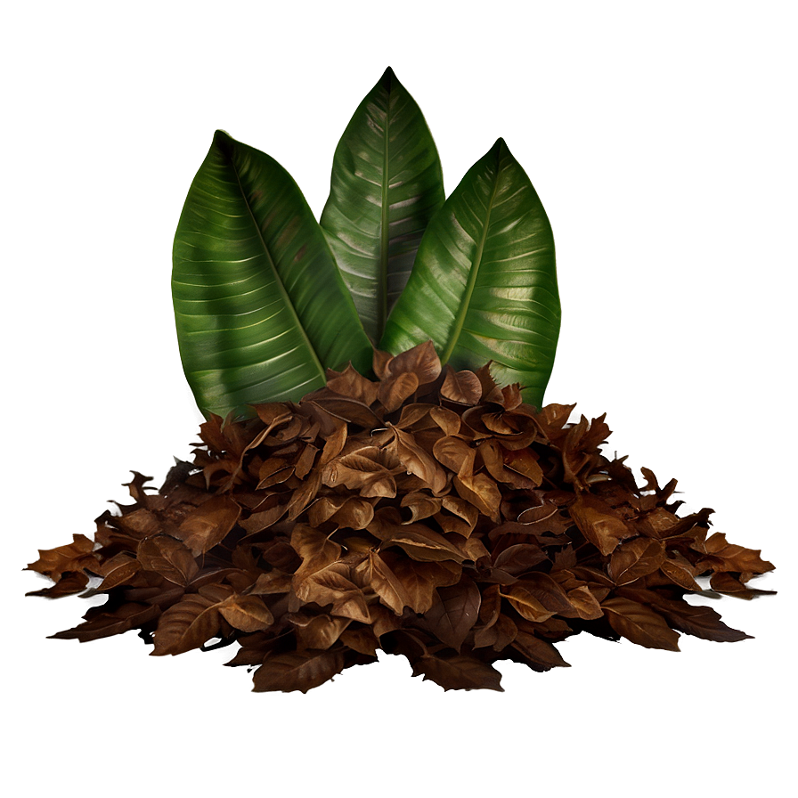 Realistic Leaf Pile Png Llv84 PNG Image