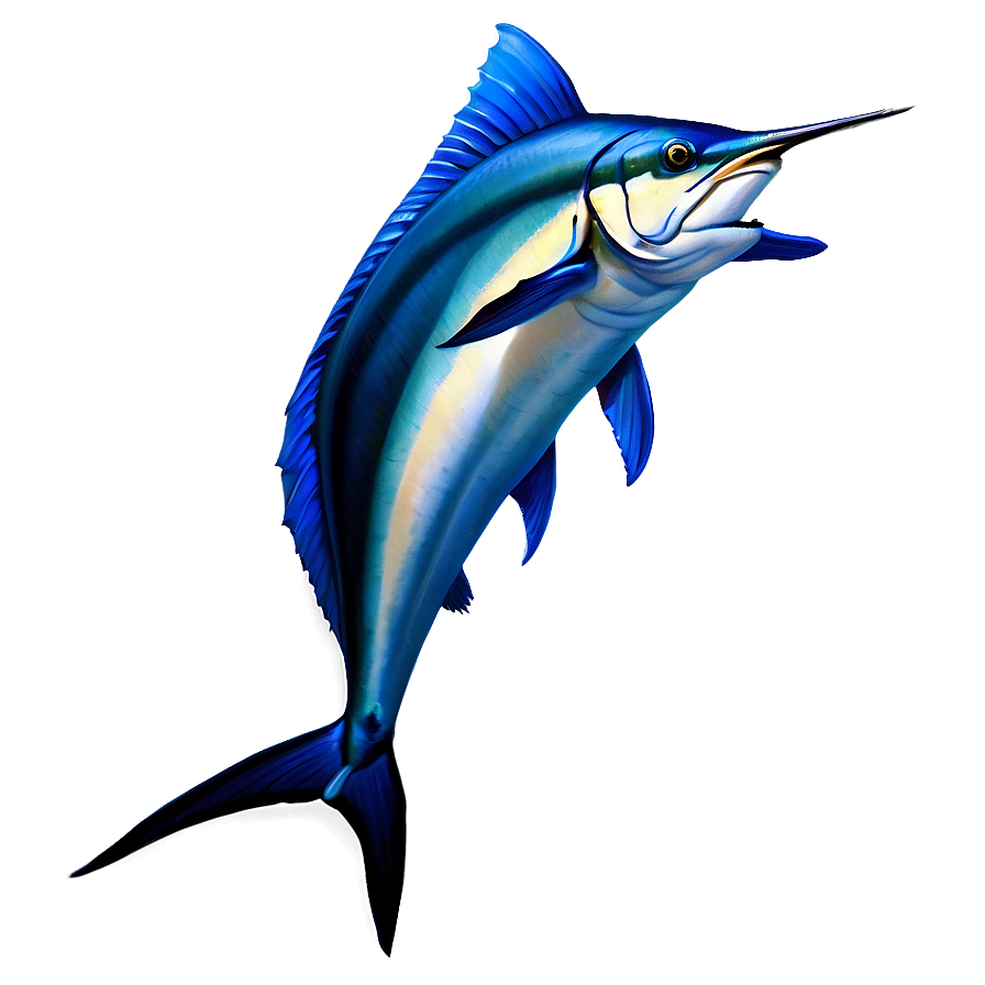 Realistic Marlin Drawing Png 79 PNG Image