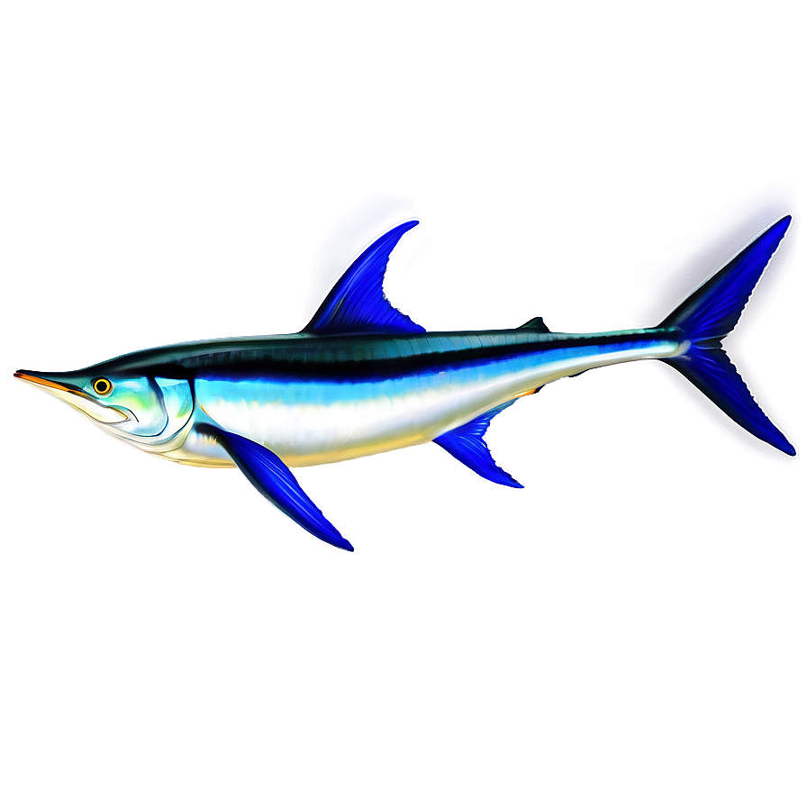 Realistic Marlin Drawing Png Uap71 PNG Image