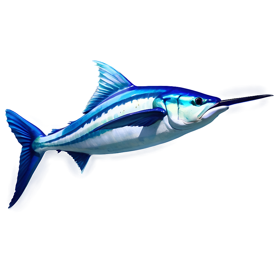 Realistic Marlin Drawing Png Vsa27 PNG Image