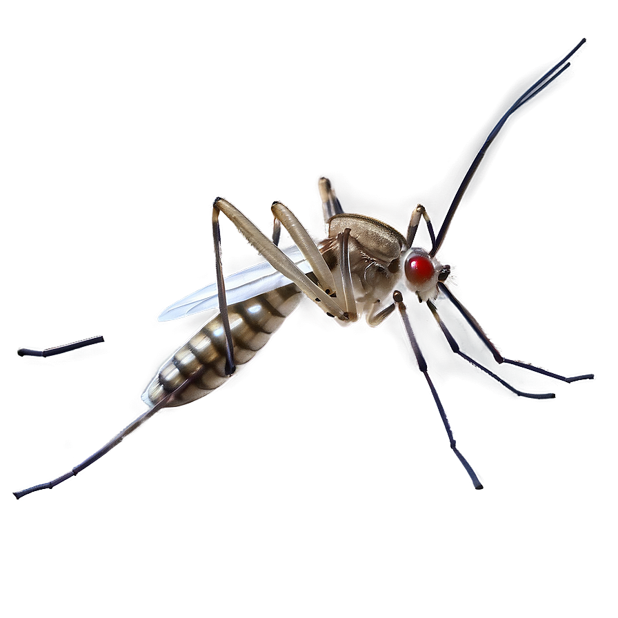 Realistic Mosquito Png Tif29 PNG Image