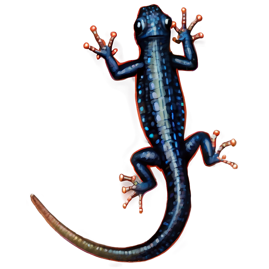 Realistic Newt Drawing Png Dge20 PNG Image