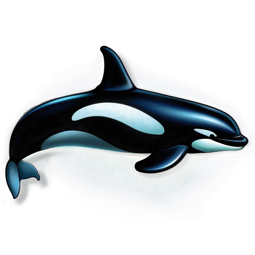 Realistic Orca Whale Drawing Png Sic77 PNG Image