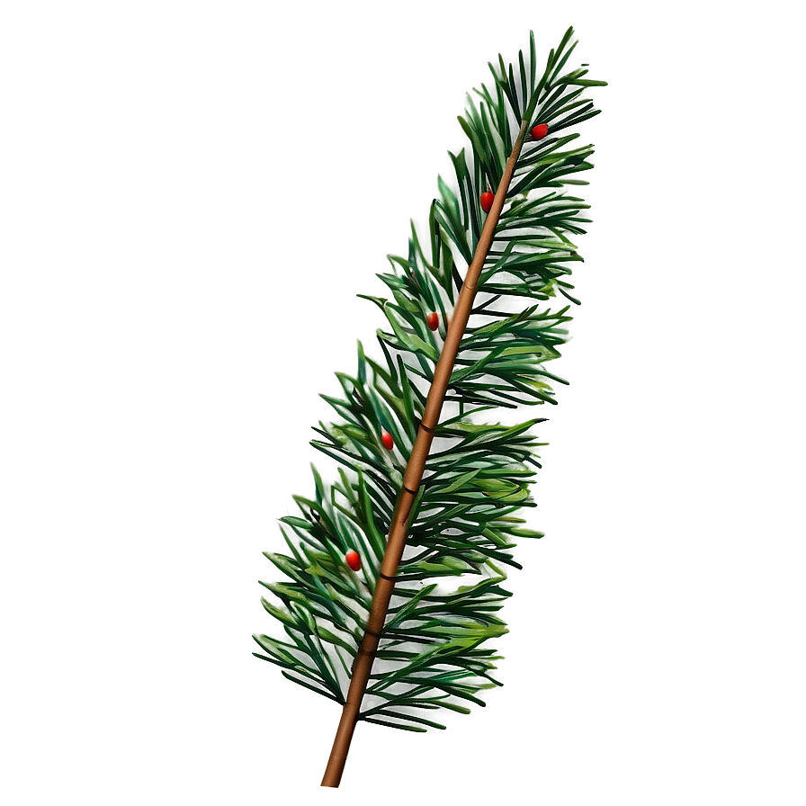 Realistic Pine Branch Png Irx PNG Image