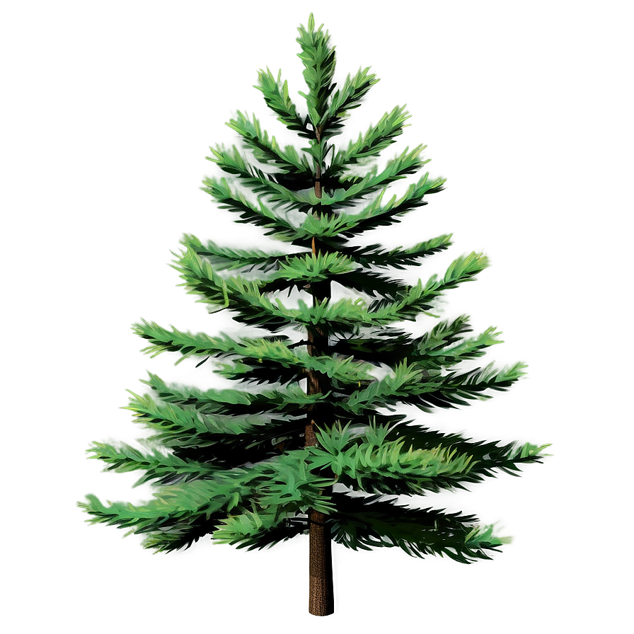 Realistic Pine Trees Png 05252024 PNG Image