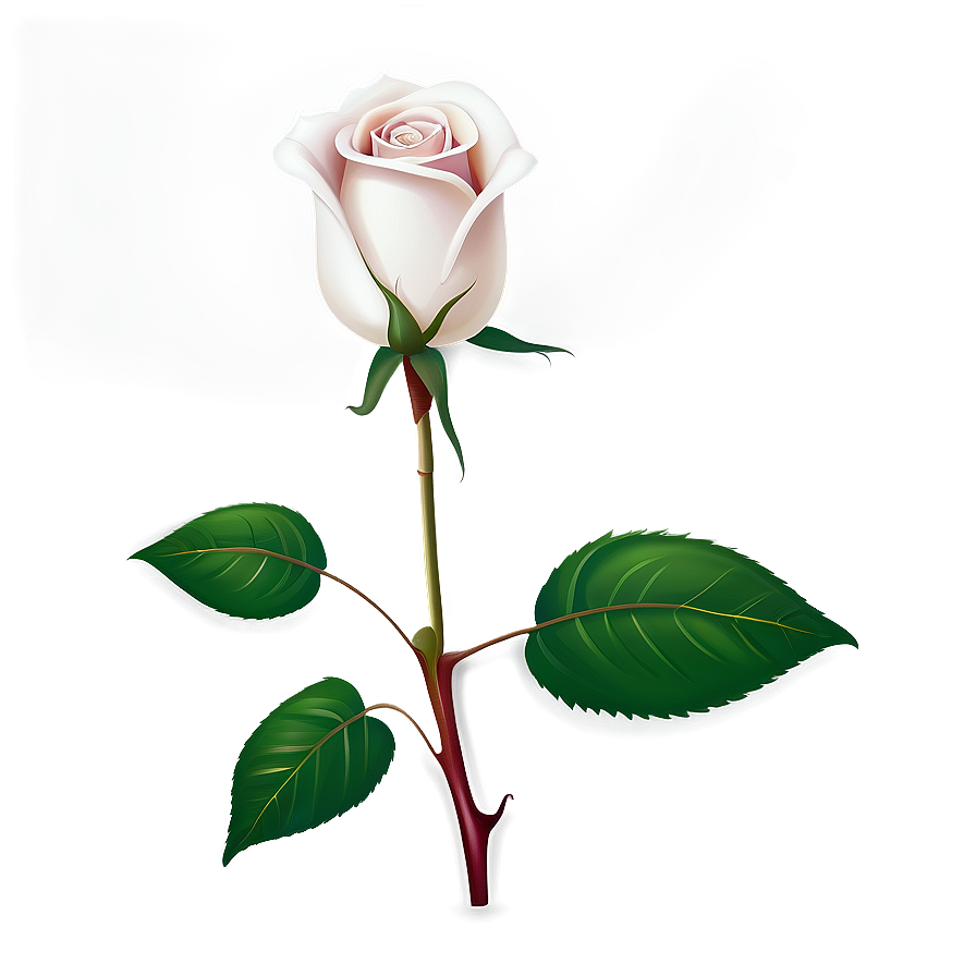 Realistic Rose Vector Image Png 4 PNG Image