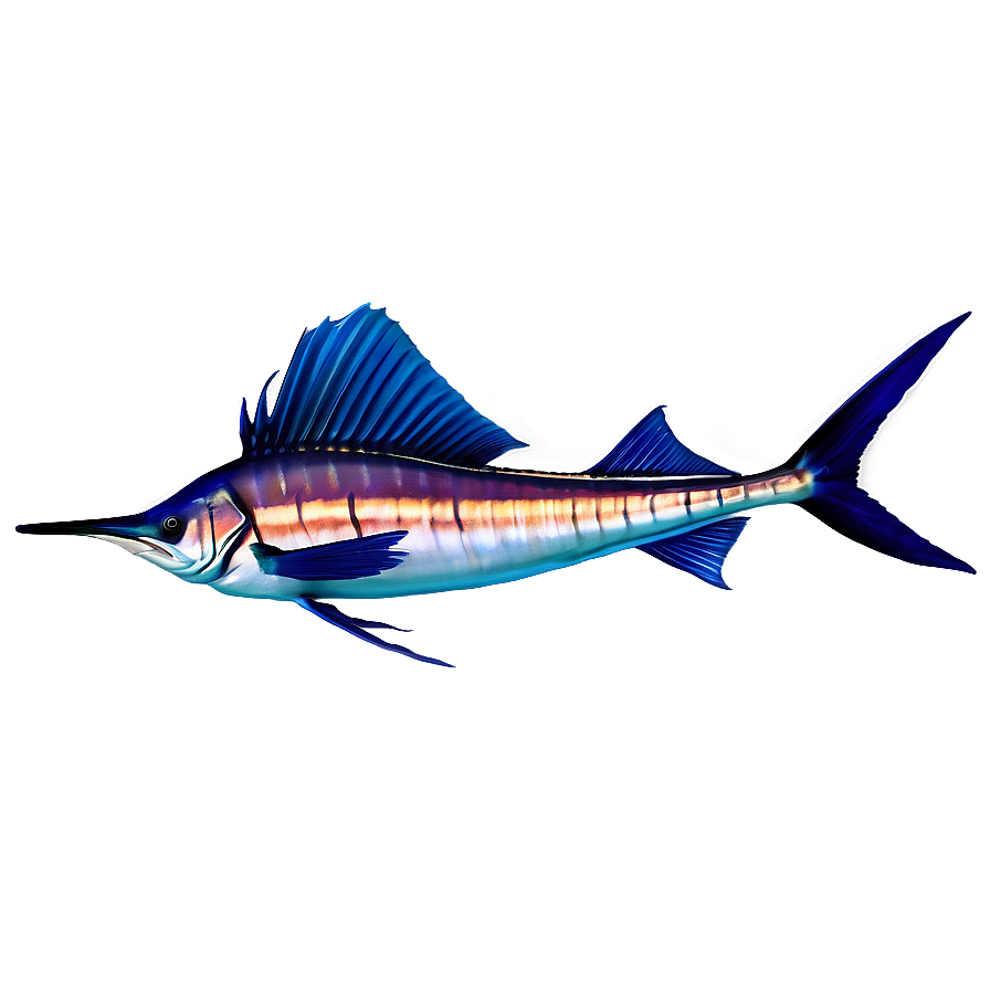 Realistic Sailfish Graphic Png Jvv66 PNG Image