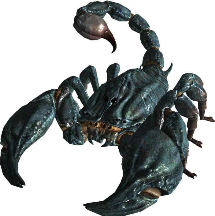 Realistic Scorpion Model PNG Image