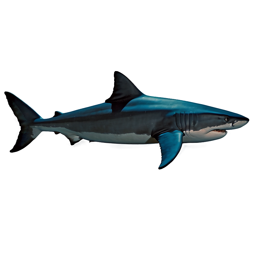 Realistic Shark Fin Png Kwh46 PNG Image