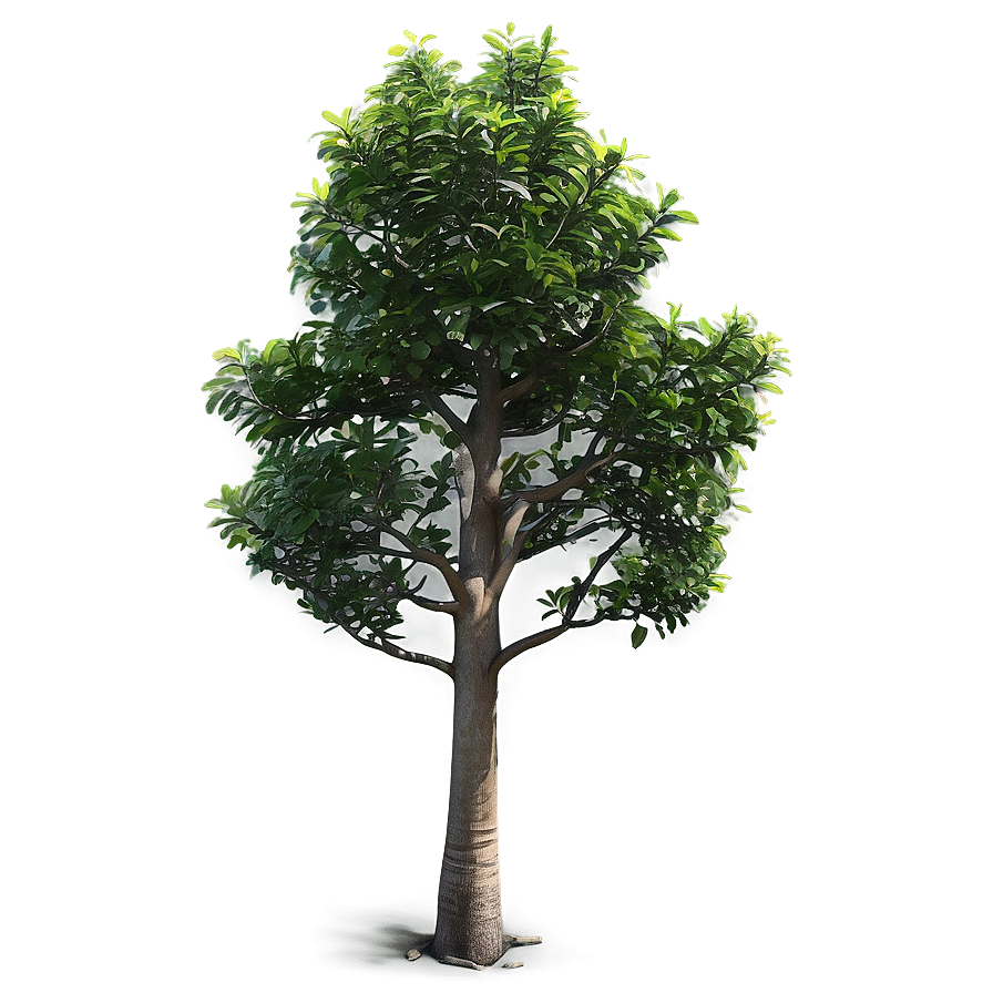 Realistic Small Tree Png Gbv88 PNG Image