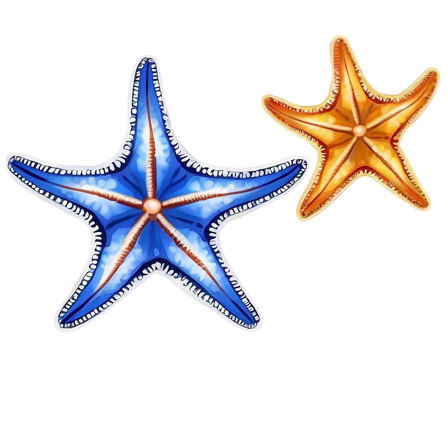 Realistic Starfish Drawing Png 20 PNG Image