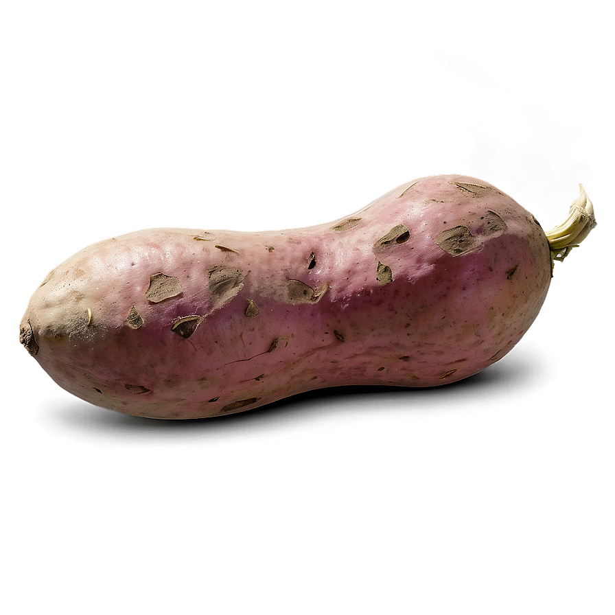 Realistic Sweet Potato Png Dmb PNG Image