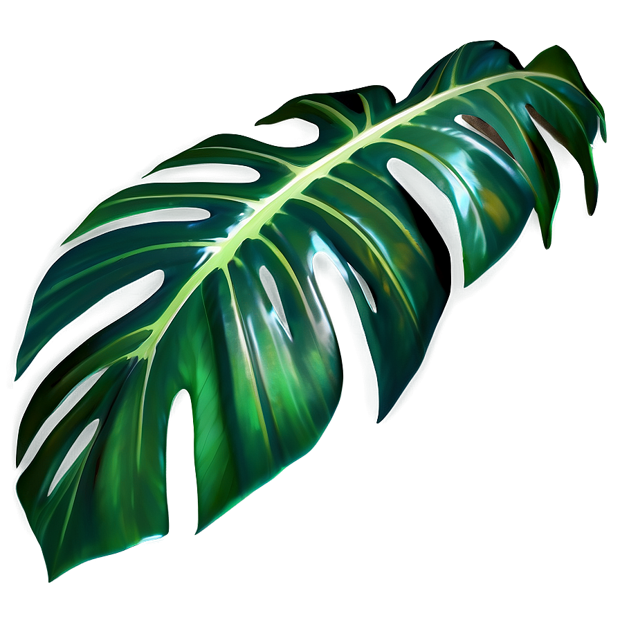 Realistic Tropical Leaf Graphic Png 81 PNG Image