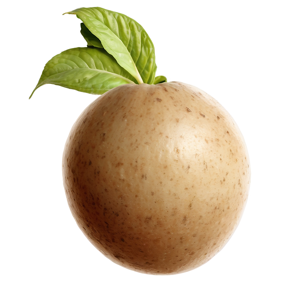 Tuber PNG Images [100+] - SubPNG.com