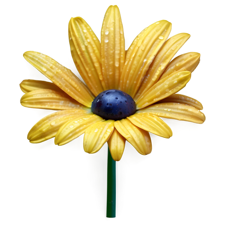 Realistic Yellow Daisy Png Pev26 PNG Image