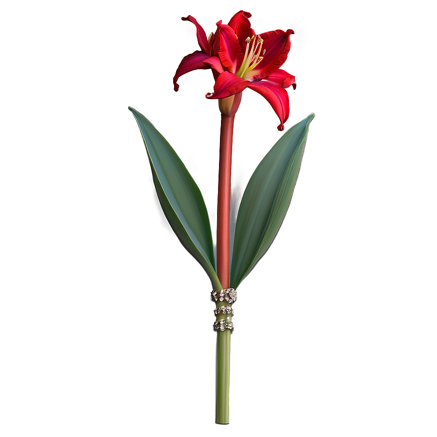 Red Amaryllis Charm Png Pjo PNG Image