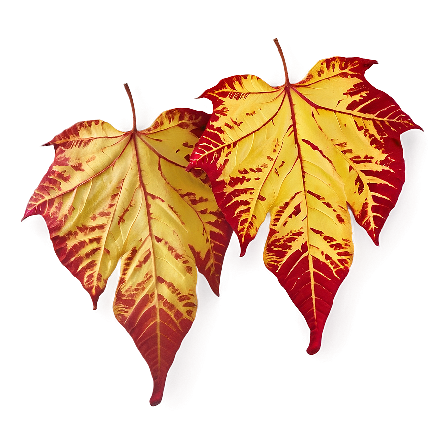 Red And Yellow Fallen Leaves Png Ohu51 PNG Image