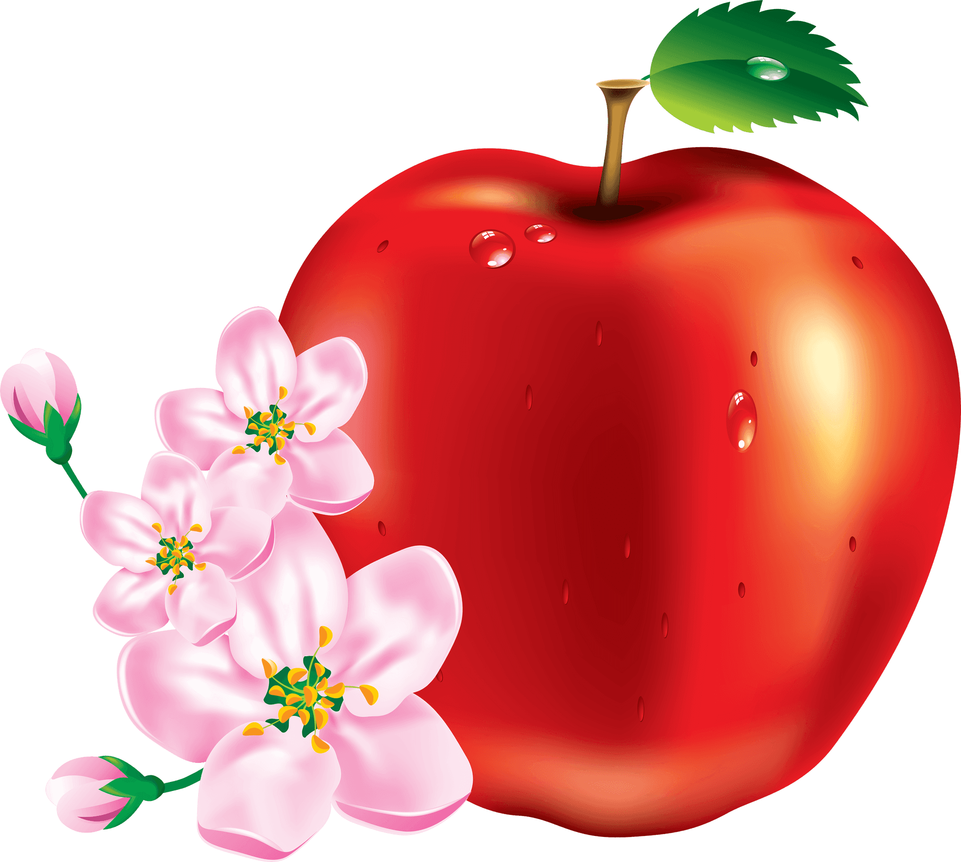 Red Apple With Blossoms PNG Image