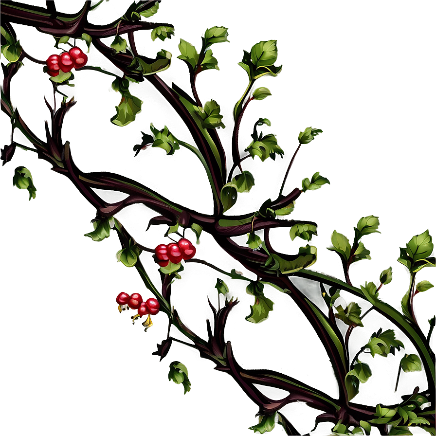 Red Berries Twining Vine Illustration PNG Image