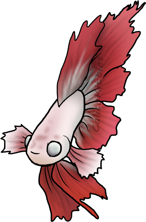 Red Betta Fish Illustration PNG Image