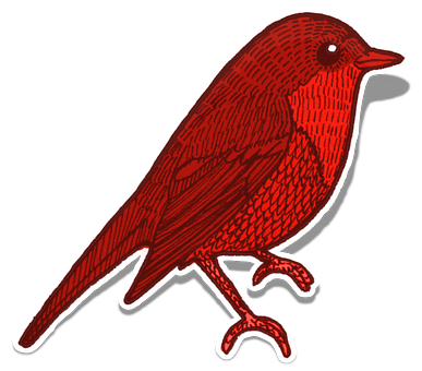 Red Bird Illustration PNG Image