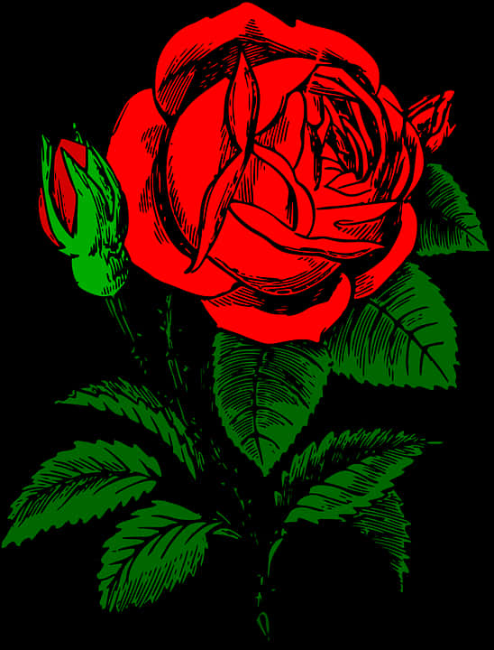 Red Black Rose Illustration PNG Image