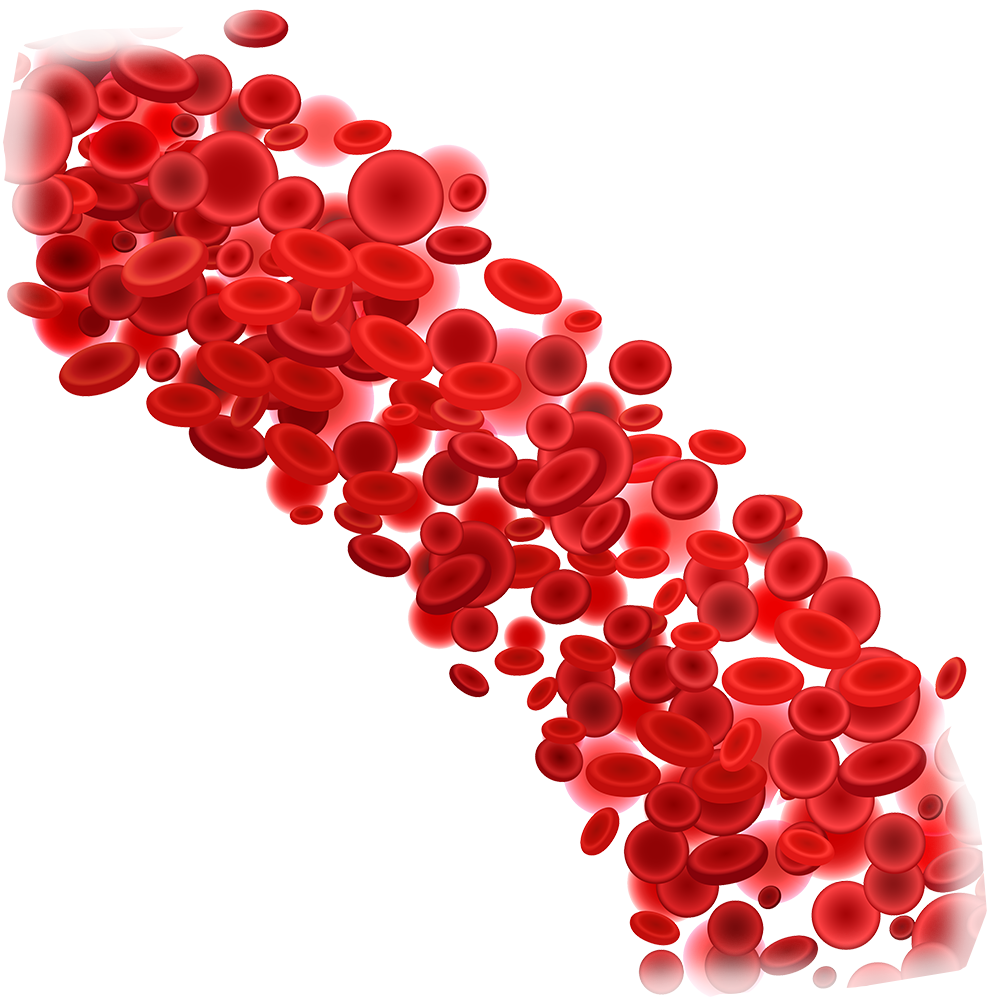 Red Blood Cells Cluster.png PNG Image