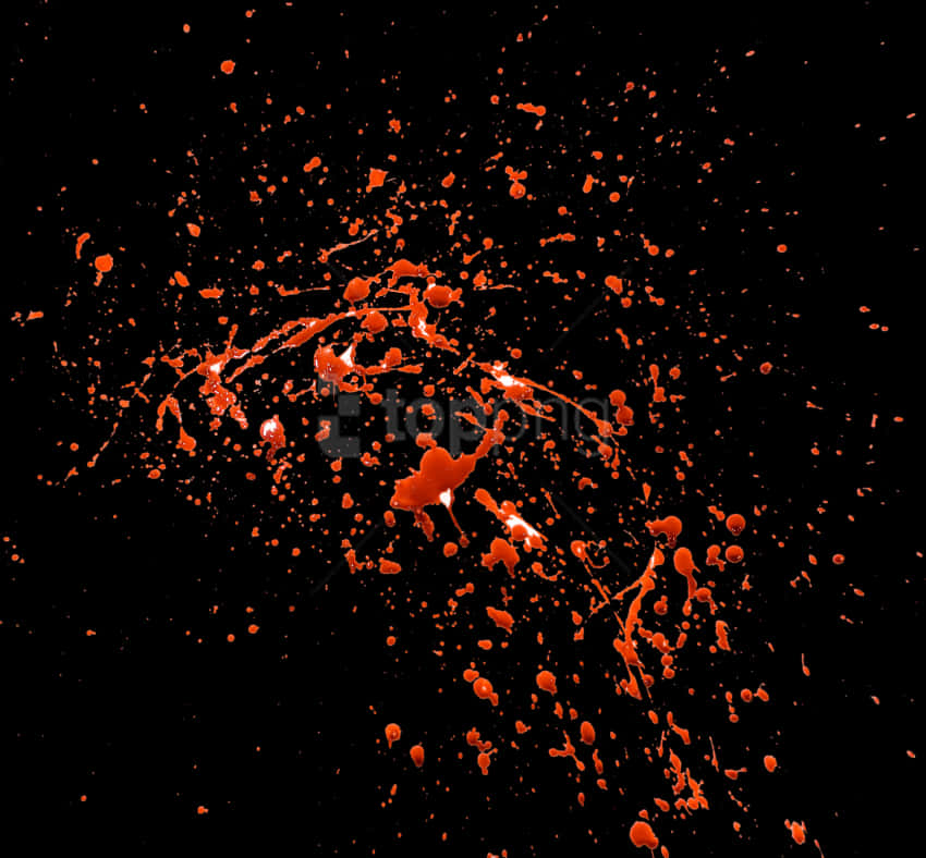 Red_ Blood_ Splatter_on_ Black_ Background.jpg PNG Image