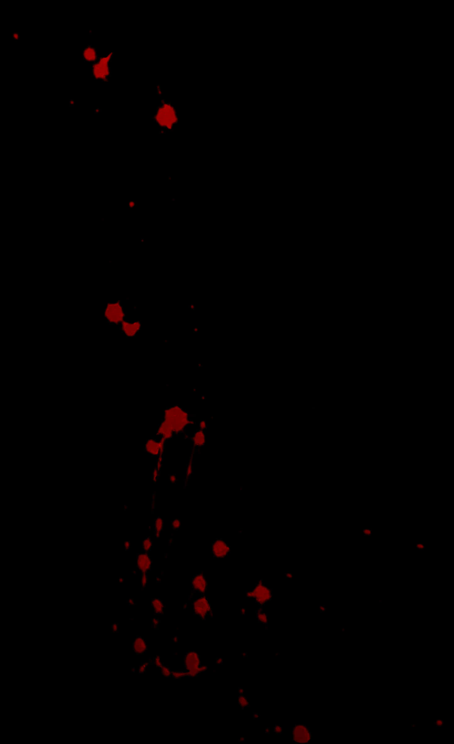 Red Blood Splatteron Black Background PNG Image