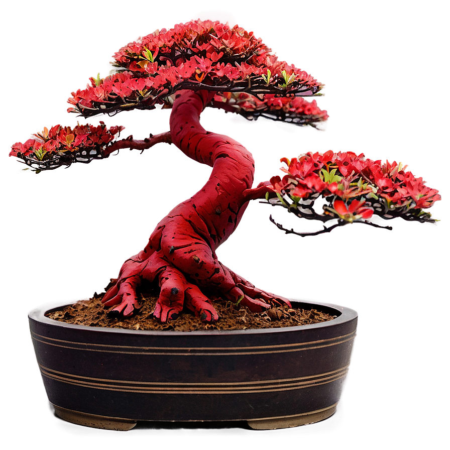 Red Bonsai Tree Drawing Png Wpr78 PNG Image