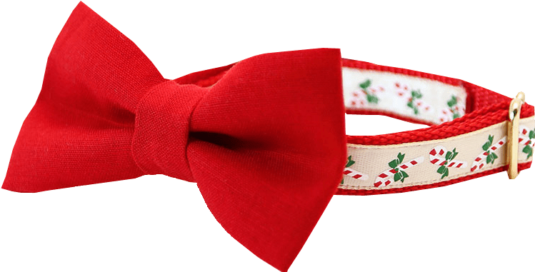 Red Bow Tie Floral Band PNG Image