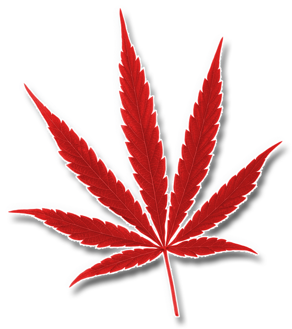 Red Cannabis Leaf Graphic PNG Image