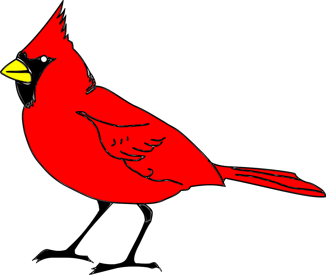 Red Cardinal Bird Illustration PNG Image