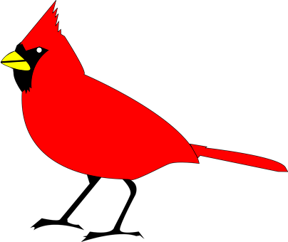 Red Cardinal Bird Vector PNG Image