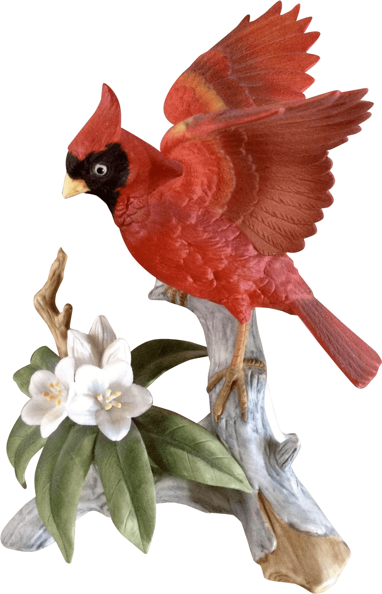 Red Cardinalon Branch PNG Image