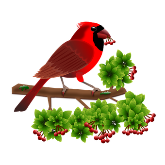 Red Cardinalon Branch PNG Image