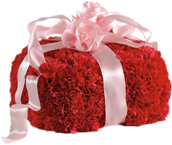 Red Carnation Floral Gift Bag PNG Image