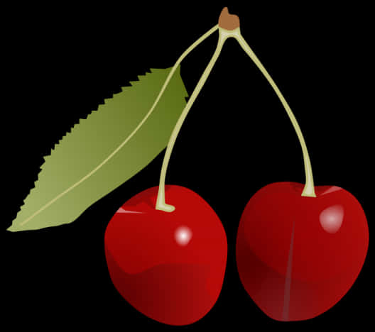 Red Cherrieswith Leaf Vector PNG Image