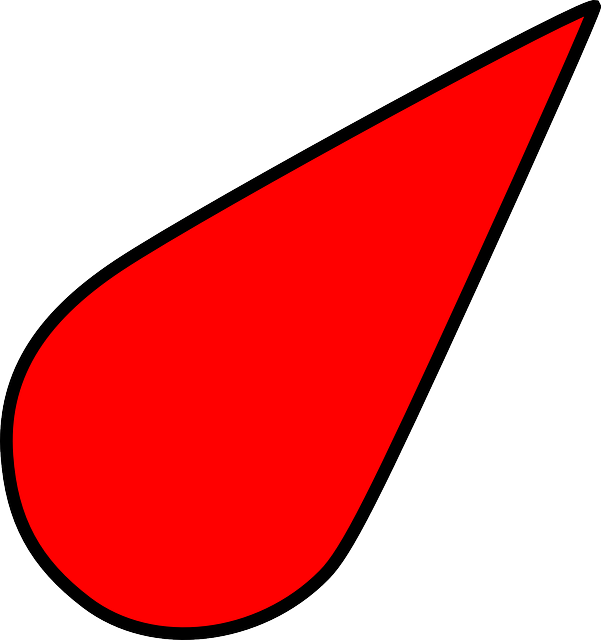 Red Compass Arrow PNG Image