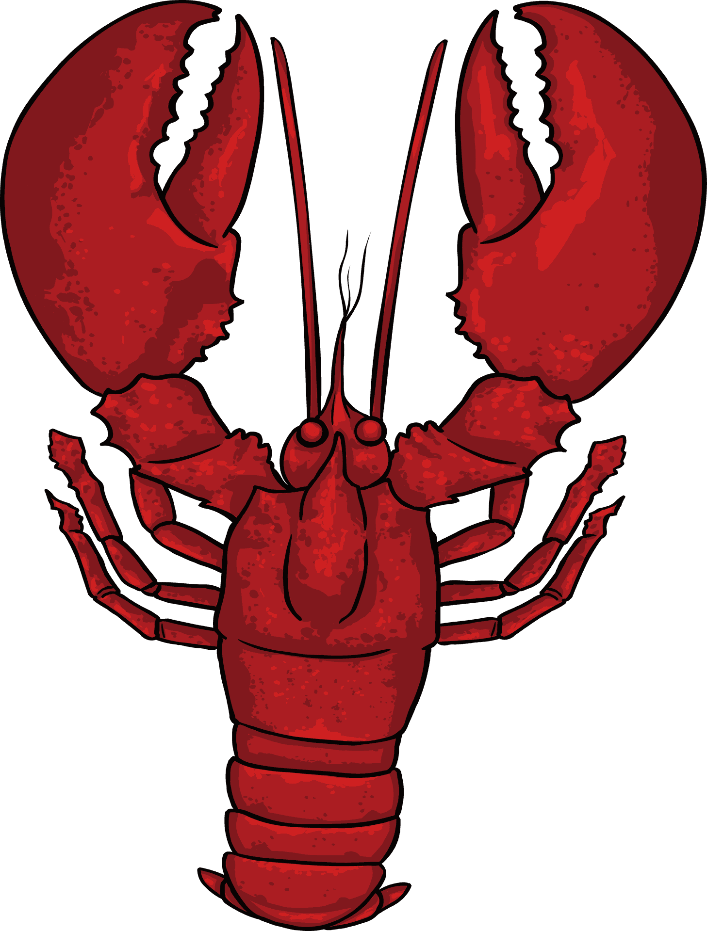 Red Crayfish Illustration PNG Image